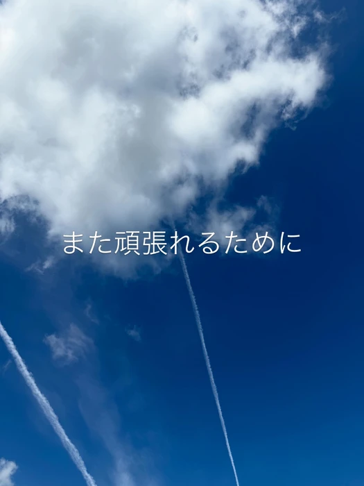 画像285