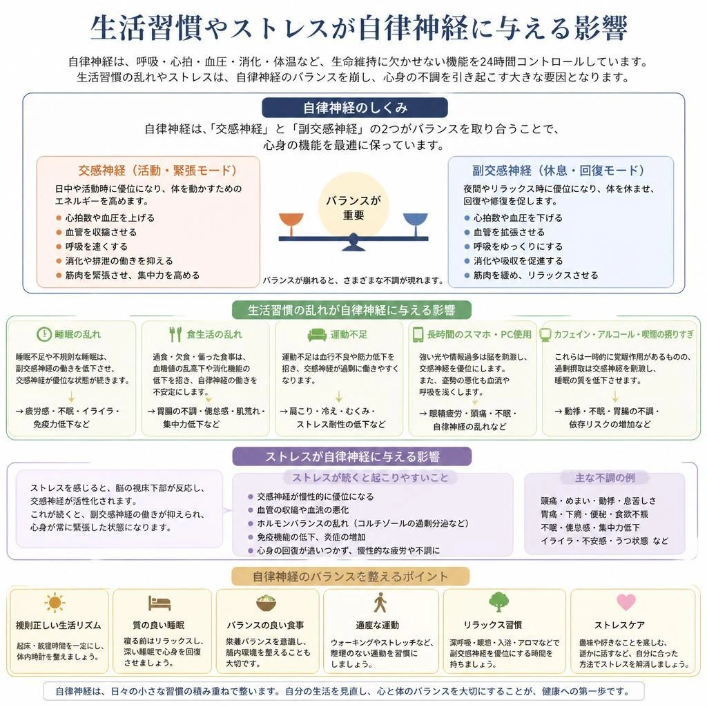 2. 自律神経の乱れの原因